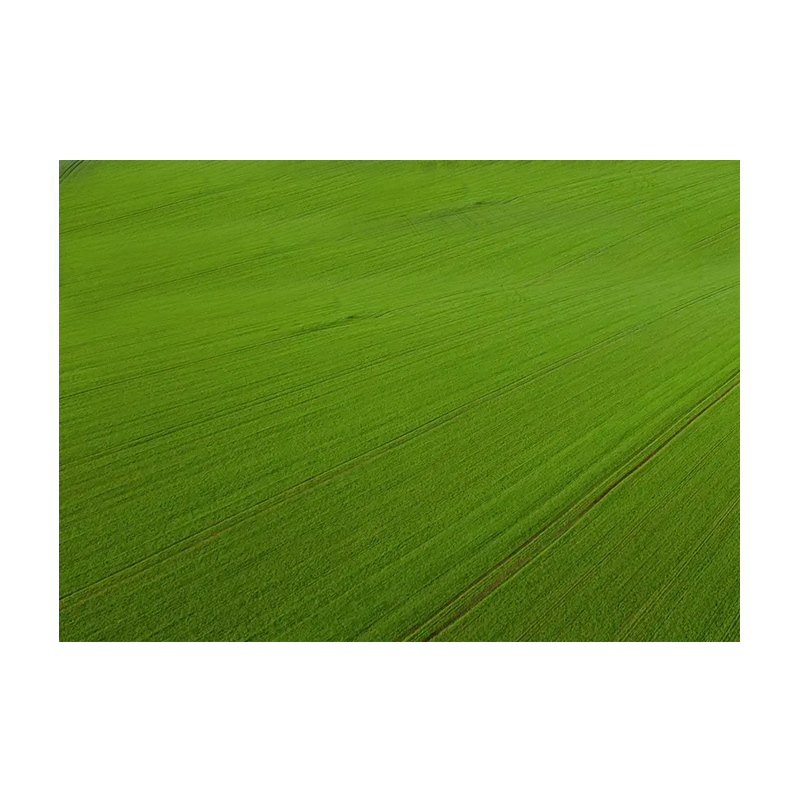 US SPECIALTY COATINGS