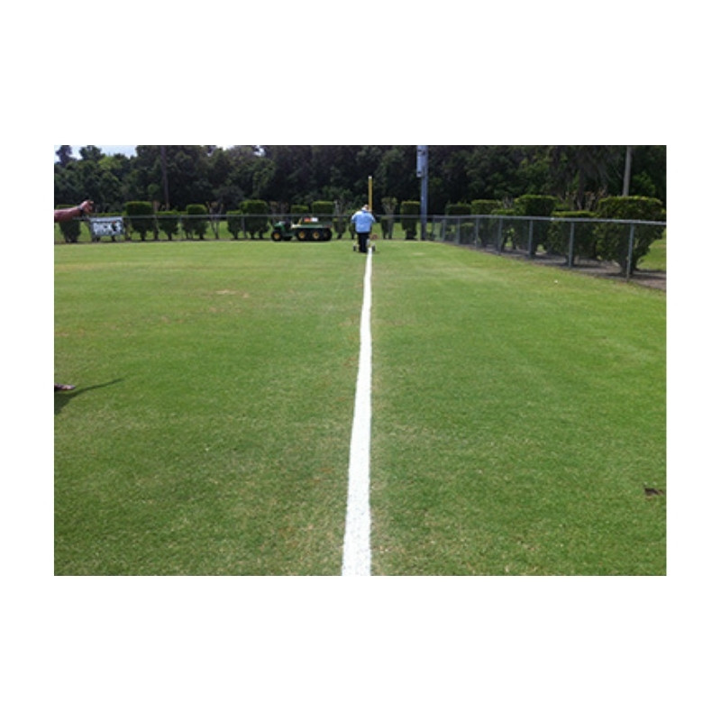 Aquastripe #1 Standard