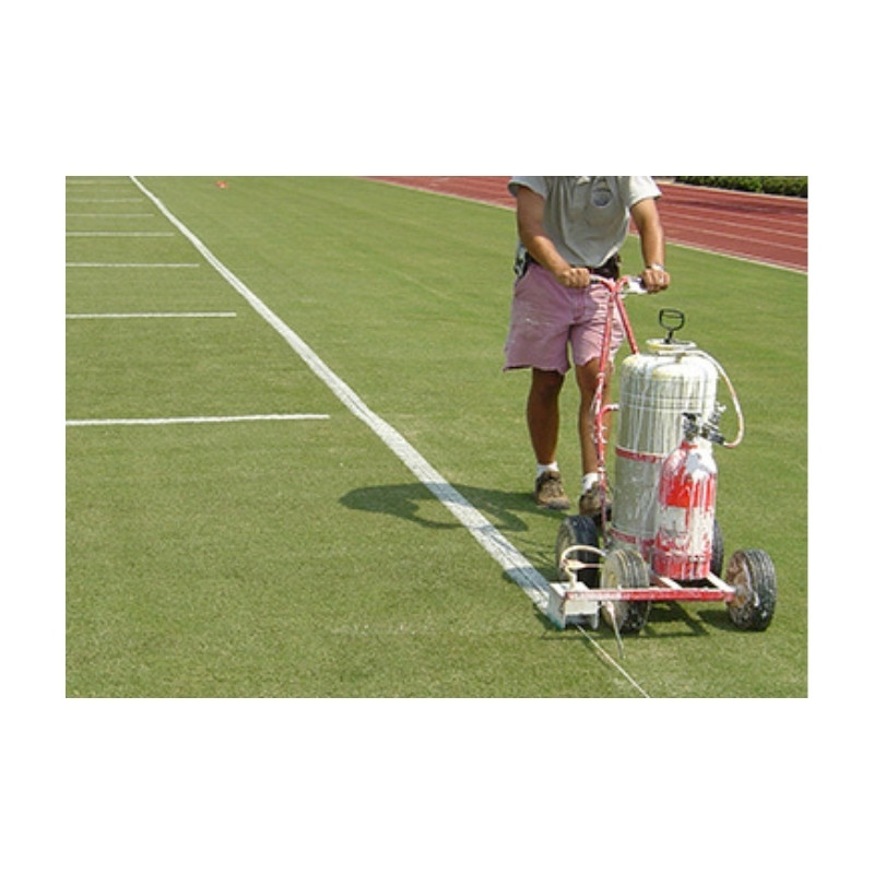 Aquastripe #1 Standard