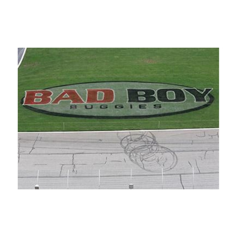 Aquastripe #1 Standard