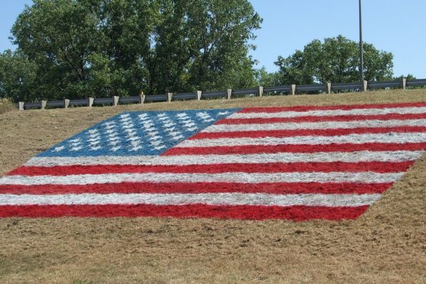 Best Methods on How to Effectively Remove Field Marking Paint