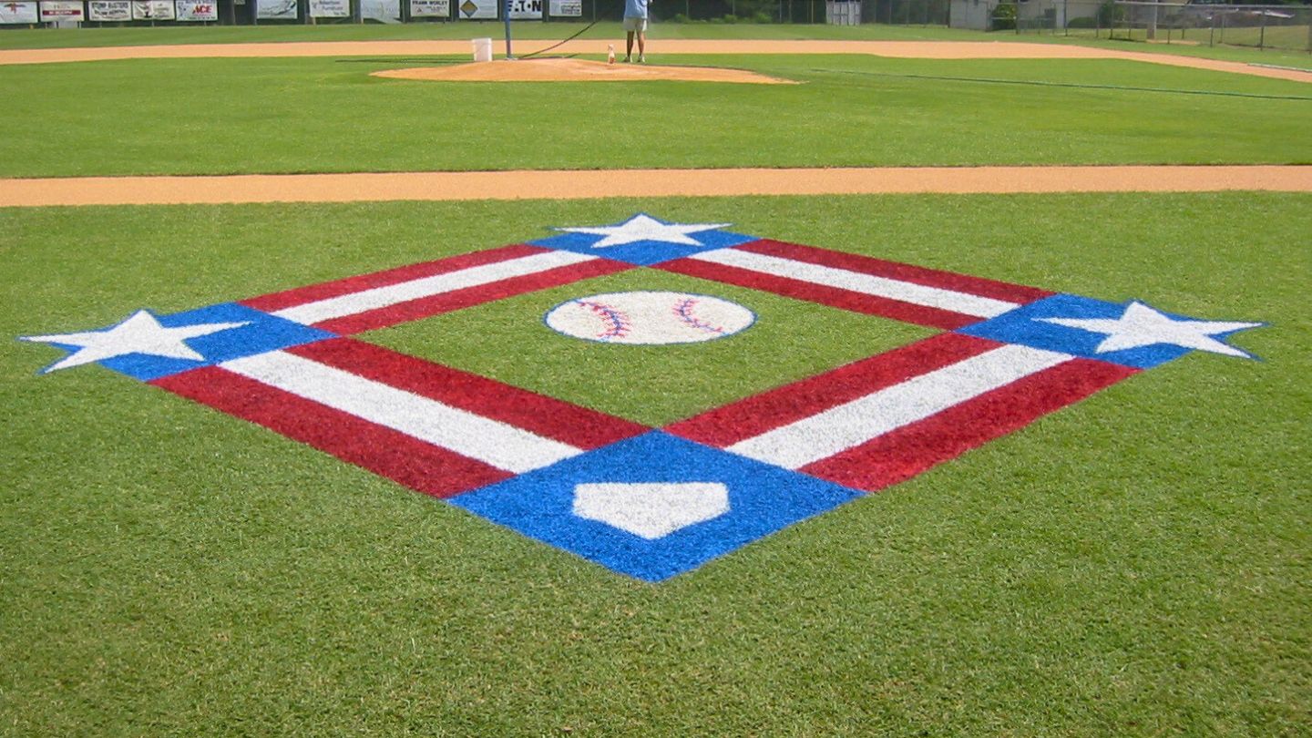 Comparison With Other Paints