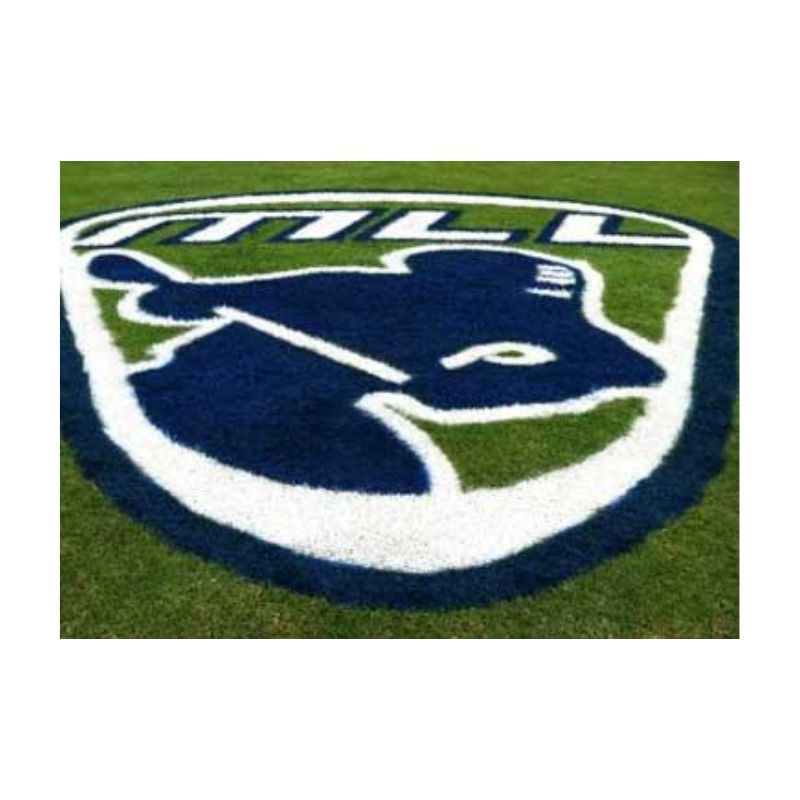 Corporate Logo Stencils And Paint.