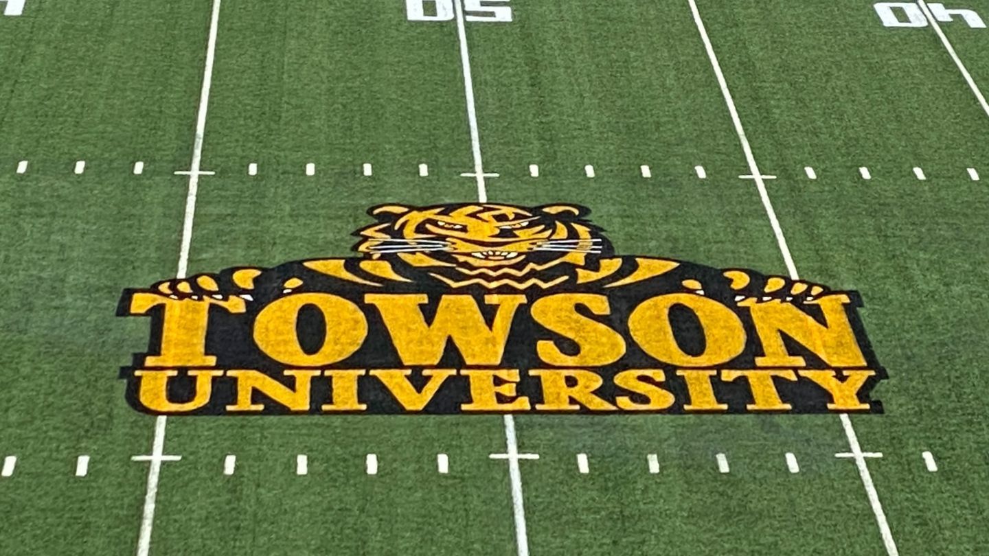 Enhancing Field Aesthetics And Functionality