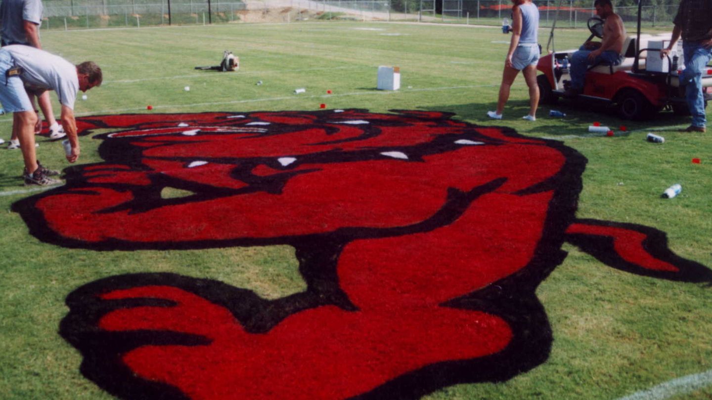 Environmental Impact And Sustainability