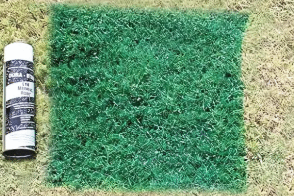 field repainting frequency_ maintaining visibility and safety