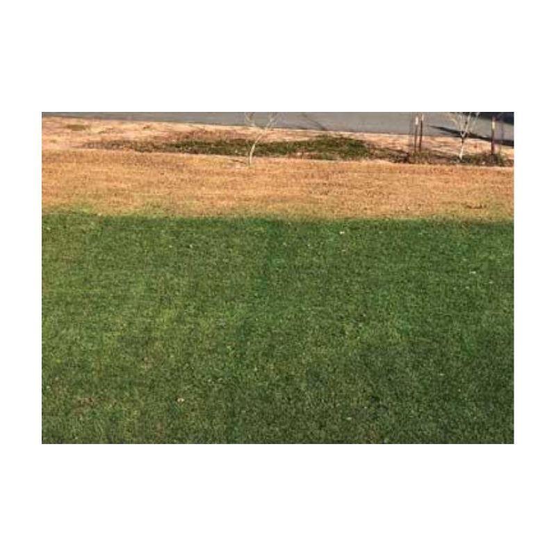 Irish Green Premium Turf Pigment