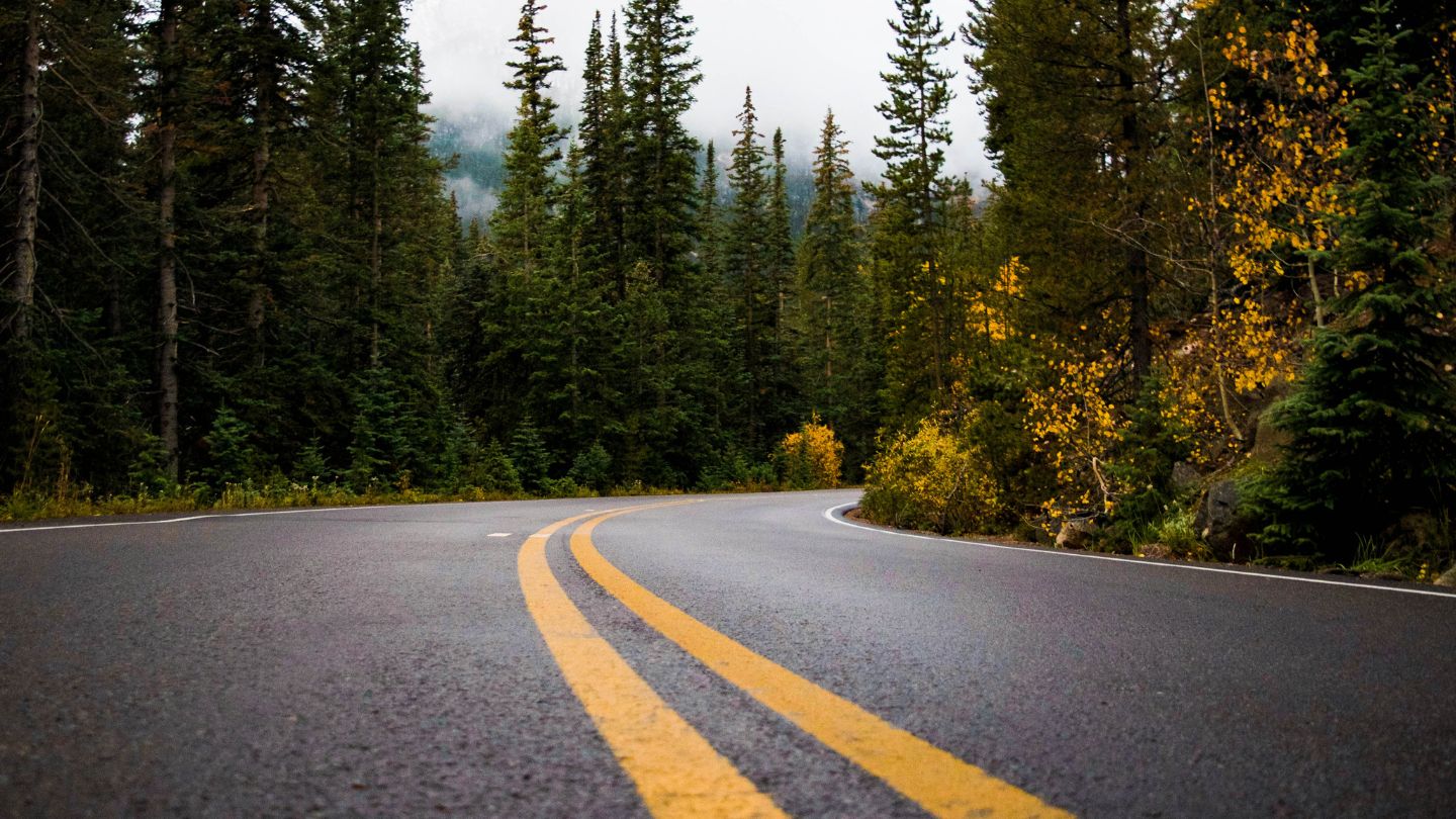 How Long Does Marking Paint Last? Essential Insights and Tips