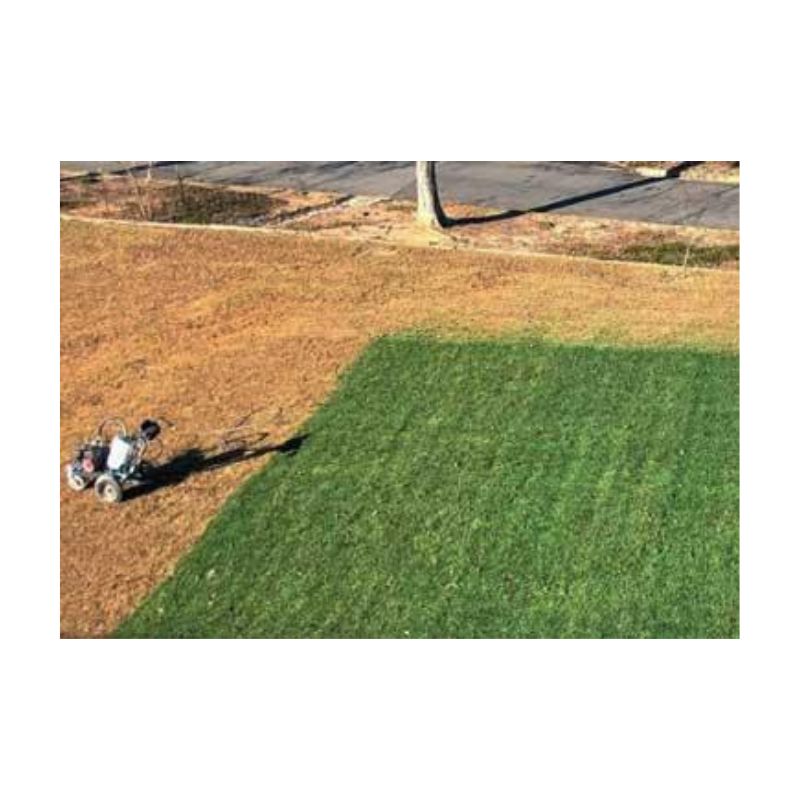 Irish Green Turf Dye Pigment Equal To Endurant Premium