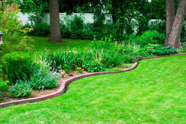 Is Painting Your Lawn Green a Drought-Friendly Solution for Your Yard?