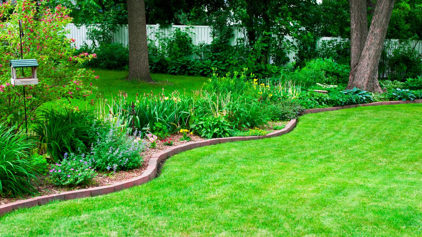 Is Painting Your Lawn Green a Drought-Friendly Solution for Your Yard?