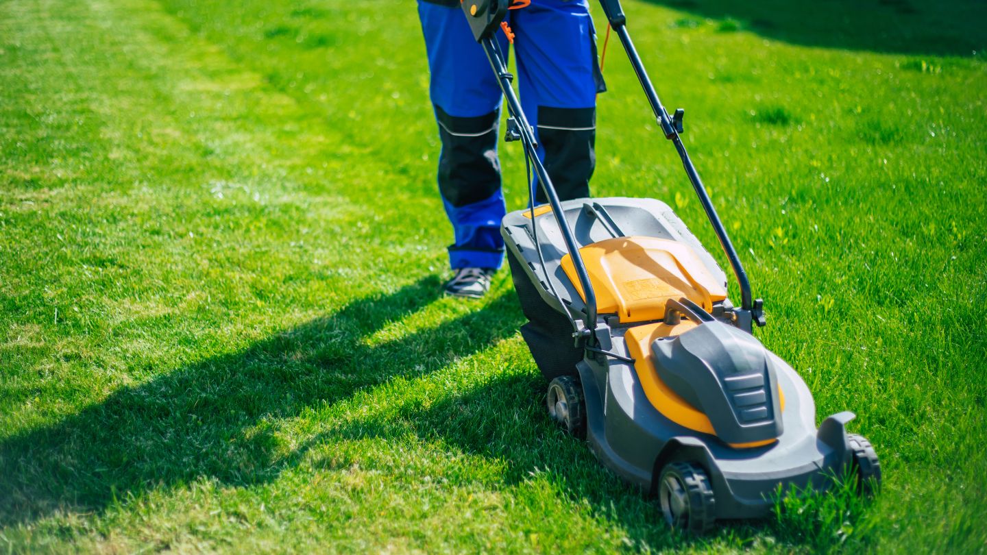 Neglecting Field Maintenance