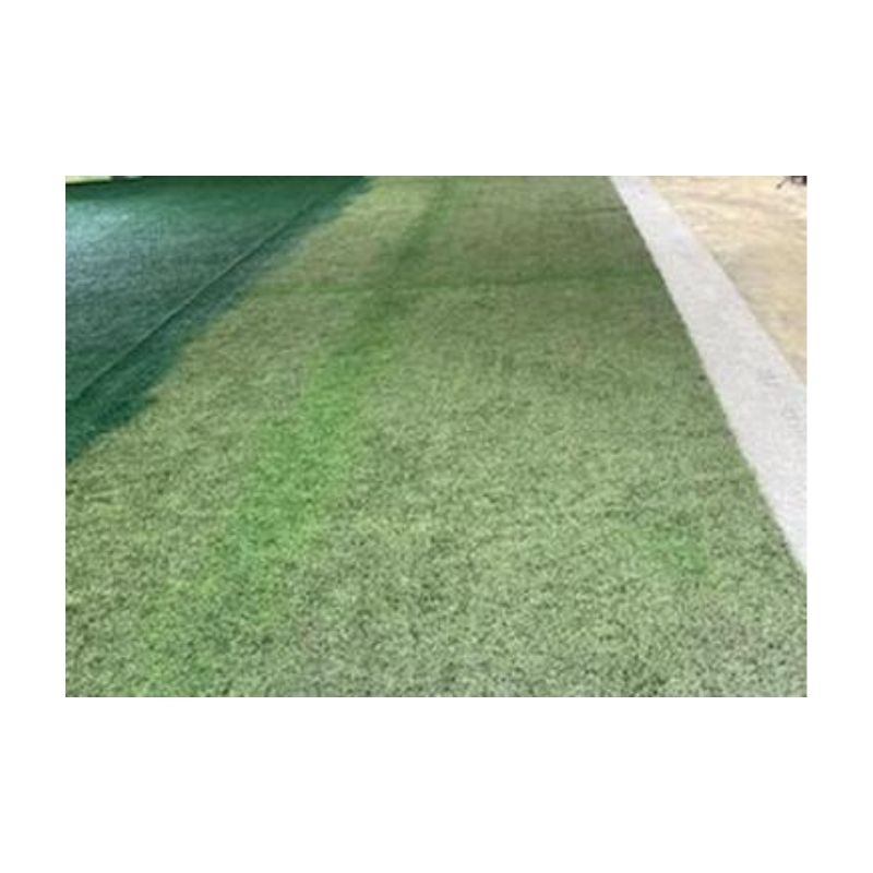 Permaturf Permanent Turf Paint