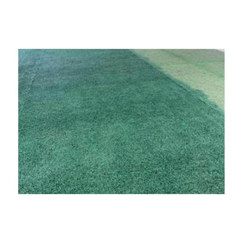 Permaturf Permanent Turf Paint
