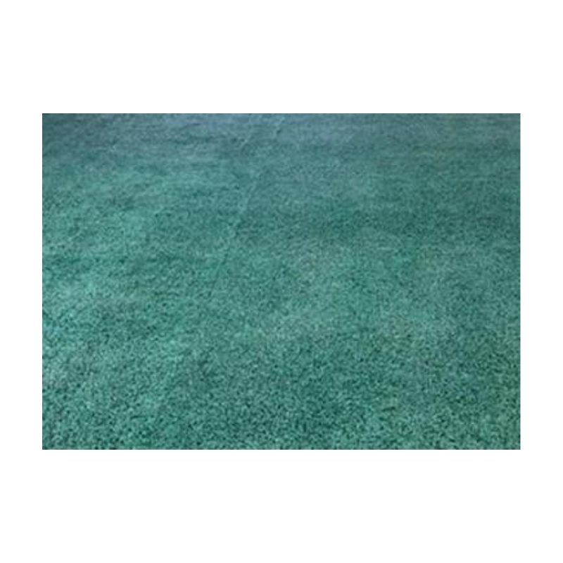 Permaturf Permanent Turf Paint