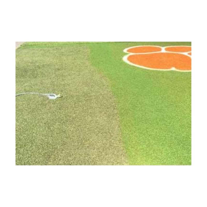 Permaturf Permanent Turf Paint