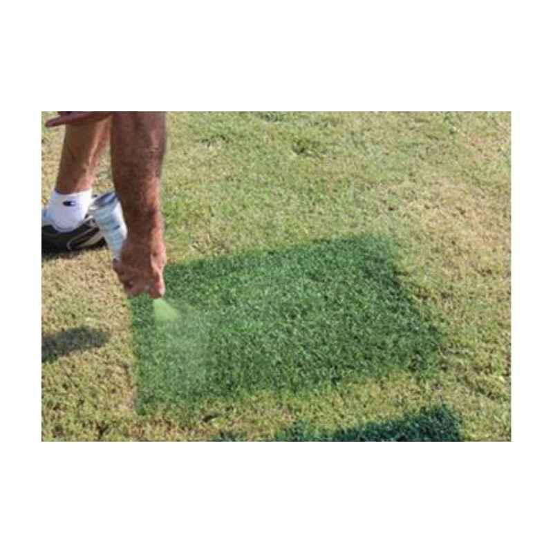 Green Grass Dye Turf Aerosol Can Paint To Color Dead Brown Grass Pet Pee Spots.