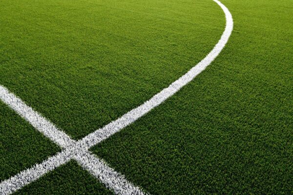 using turf colorants for visual enhancement and seasonal maintenance