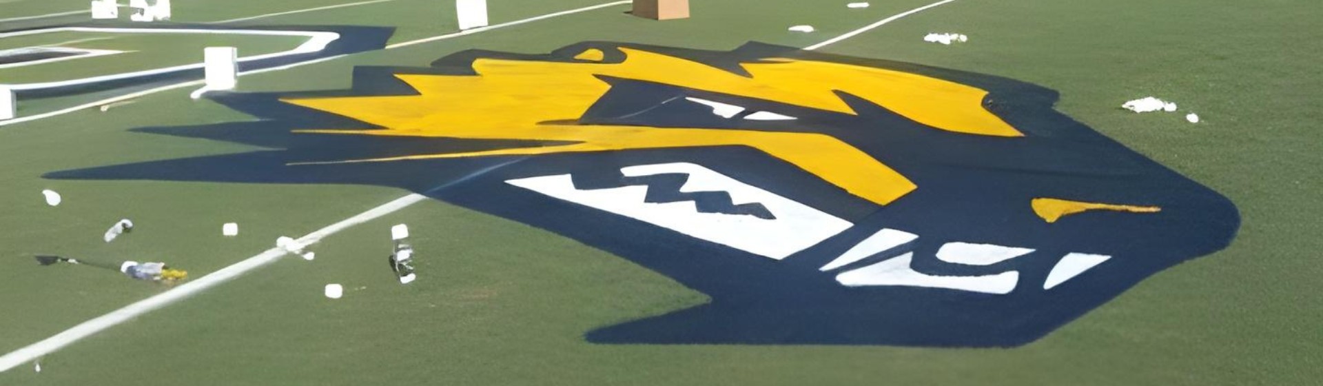 Logo Of Wildcat Mascot Painted On A Sports Field