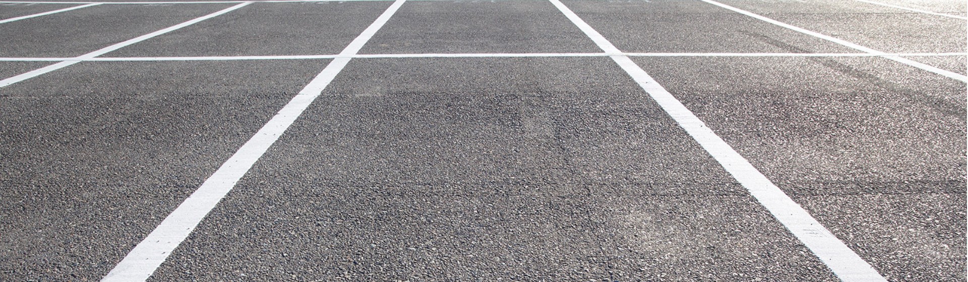 Freshly Painted White Lines On An Asphalt Surface