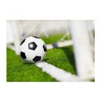 Soccer Field Layout Diagram